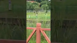 Зарядка по китайски. Силвер Бич. Китай #китай #china #silverbeach #