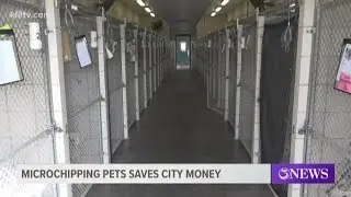 Microchipping pets saves city money