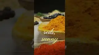 Spice Mix Sizzle &ndash; The Magic Behind Every Indian Dish!