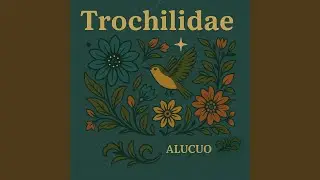 Trochilidae
