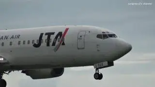 石垣空港 迫力の着陸＆逆噴射！ JTA Boeing 737-400 JA8523 2011.10.21