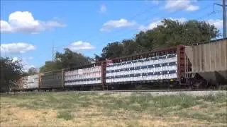 2015-09-02 DailyTrain FWWR