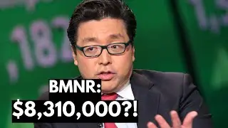 TOM LEE: BMNR STOCK $8.31M INVESTMENT TO $2,500?❗IF YOU OWN MORE THAN $6000 OF BITMINE STOCK, LISTEN