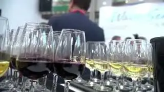 IWSC 2015 - London Wine Fair Varietal of The Year Judging 2015
