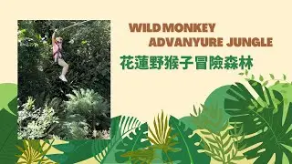 2022 Hualien wild monkey adventure jungle｜花蓮野猴子探險森林#Taiwanzipline#Hualien trip#Hualien tour#親子探險