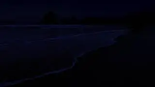 Starry night beach for deep sleep 8 hours ocean sounds 🌟🌟🌟