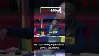 Мы отстраняем от власти президентов, которые ведут себя бесчестно &mdash; Мутсвангва #hstvzim