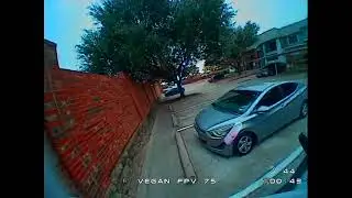 First Maiden 75mm Vegan FPV Mobula frame no wind