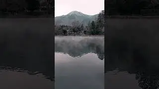 Kinrin lake morning mist & golden fish#Yufuin#Winter morning#유후인#긴린호수#물안개