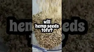 Protein, omega-3's, and a touch of rebellion.  Can hemp seeds make tofu?