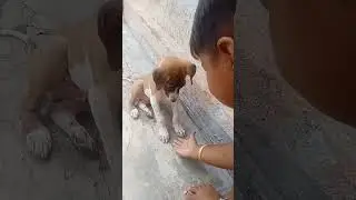 super life 🤗 #funny #comedy #viral #susee