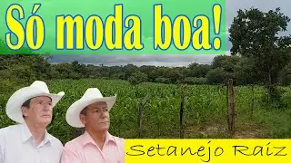 As Melhores de Goiano e Paranaense Moda de Viola Sertanejo Raiz