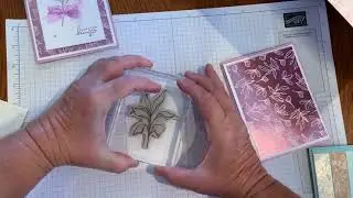 Splendid Day Quick and Easy Cards