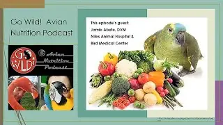 Go Wild! An Avian Nutrition Podcast Ep 3