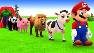 Long Slide Game With Elephant Gorilla Buffalo Hippopotamus Tiger - 3d Animal Game - Funny 3d Animals