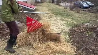 Odin 