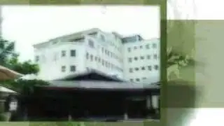 wild orchid subic commercial