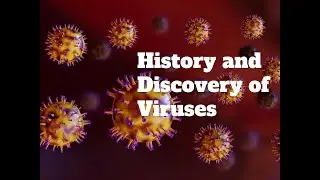 History and Discovery of Viruses