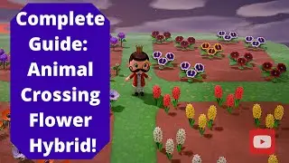 How To:  Breed Every Hybrid Flower in Animal Crossing New Horizons.