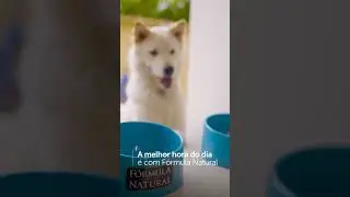 F&oacute;rmula Natural Super Premium Life para c&atilde;es 🐕🐩💜 #pets_of_instagram