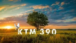 Urban Jungle Font | New Capcut TrendingTemplate | Tik Tok Trending #viral ❤️