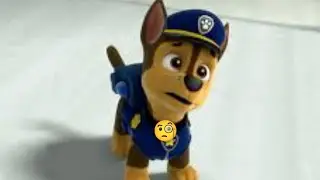 Parodia Debate Ships (Objection.lol) Paw patrol