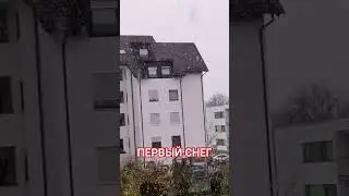 Наступает зима  С первым снегом друзья