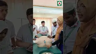 Mechanism of Normal Labour . Evergreen Nursing Institute &ndash; Learning with care #jbff  #newborn