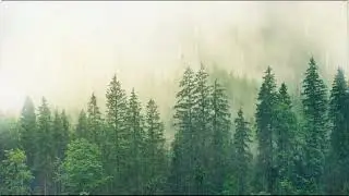🌙 Night Rain Ambience | 3 Hours Calm Sounds for Deep Sleep | Good Vibes