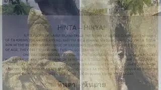 Koh Samui Hinta Hinyai