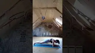 le b&acirc;ton de makara ( sur une main ) makara dandasana ( eka hasta )