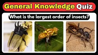 Сможете ли вы ответить на эти 10 вопросов теста на общие знания о насекомых? || Тест Helian GK