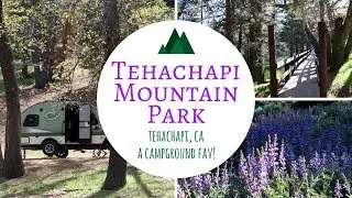 Tehachapi Mountain Park / Tehachapi, California / A Campground Fav!