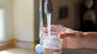 Cancer-linked chemicals detected across Sydney&rsquo;s drinking water catchment