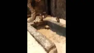 VID 20151206 150937