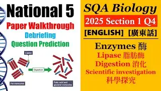 SQA National 5 Bio│2025 MC Q4│lipase 脂肪酸酶│dependent variable 應變項│Faith Education {雙語Bilingual}