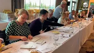 Counting underway in IFA presidential elections