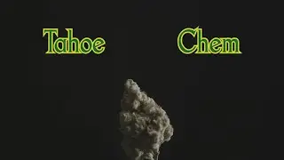 Item 9 Strain Review: Tahoe Chem by CRAFT Cannabis