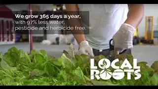 The Local Roots Story