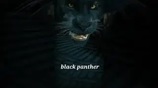 black panther angry mood status