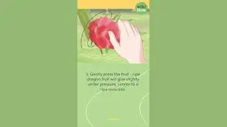 How To Tell if Dragon Fruit Is Ripe