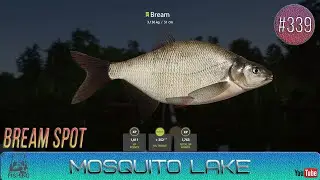 Russian Fishing 4 - Mosquito Lake - Bream Spot - #339