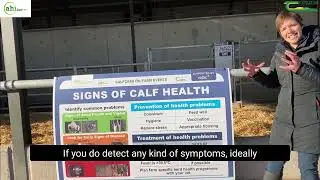 Signs of Calf Health   Natascha Meunier AHI
