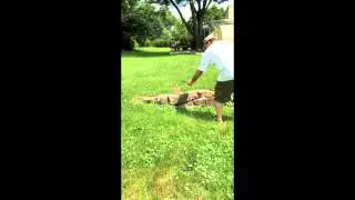 Miniature black powder signal mortar