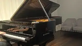 Arte al piano Steinway & sons 