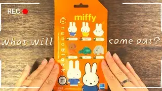 Assemble Miffy 