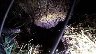 #MINESHAFT  #COALMINE   Looking into a pre 1900 Coal Mine Shaft