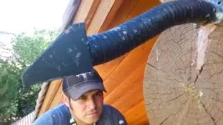 Bat Prevention and Removal