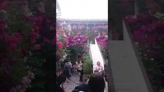 PATIO DE CORDOBA