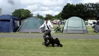 MOV09987